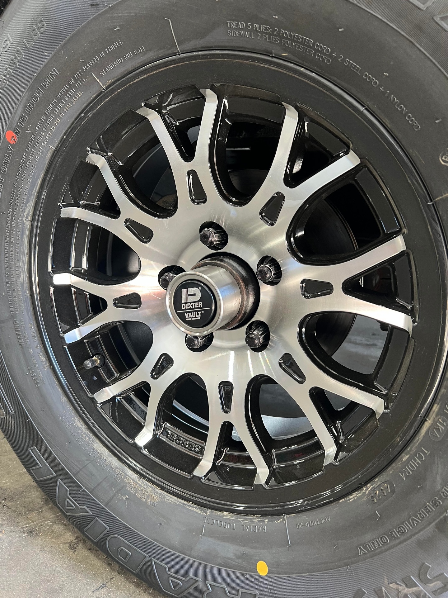 Dexter Vault sealed hub on machined alloy trailer wheel after service